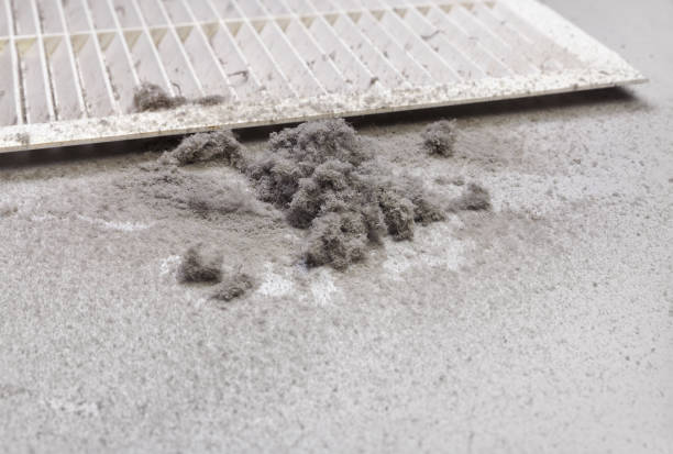Best Ventilation Cleaning Services  in Herlong, CA