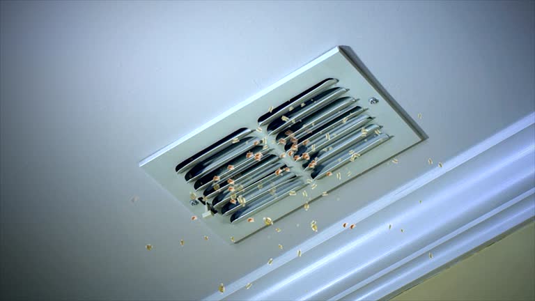 Best Ductwork Cleaning Services  in Herlong, CA