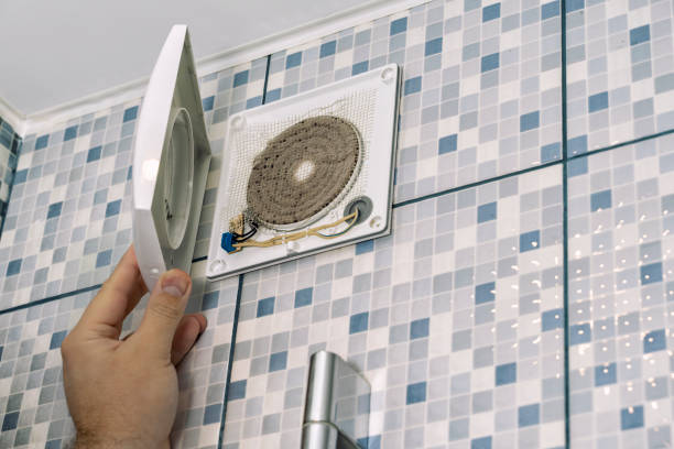 Air Duct Mold Removal in Herlong, CA