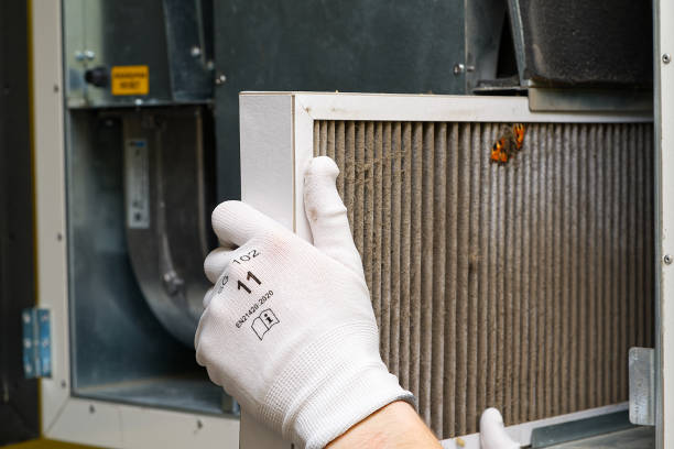 Best Air Quality Test  in Herlong, CA