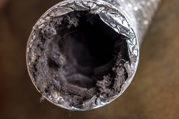 Best HVAC Duct Inspection Services  in Herlong, CA